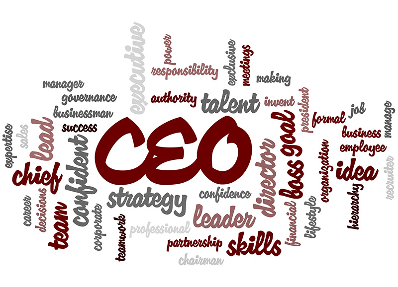 School administrators should act like CEOs