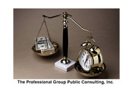 The Professional Group Public Consulting