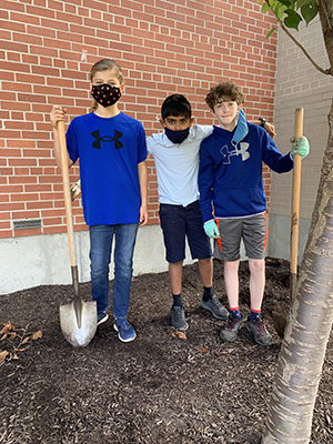 Three happy boys in sixth grade outside planting bulbs