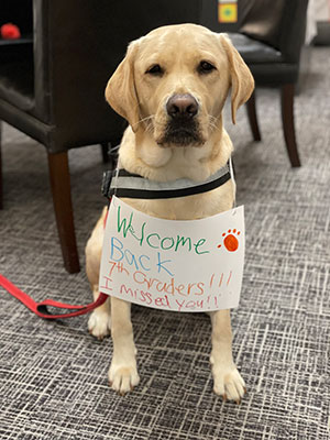Class dog welcoming back 7th grade students