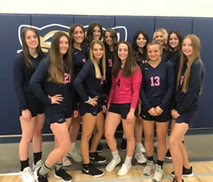 volleyball team