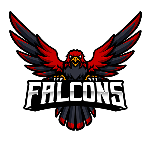 High School Falcons logo