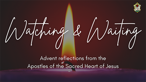 Watching and Waiting - Advent reflections from the Apostles of the Sacred Heart of Jesus