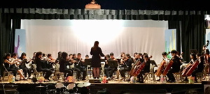 The orchestra performing on stage
