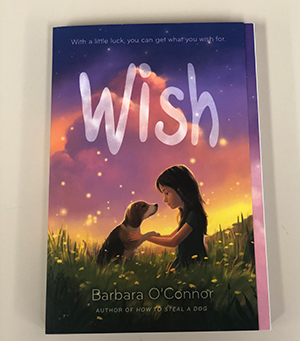 Wish by Barbara O'Connor