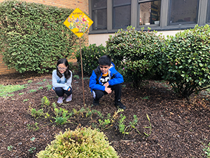 students looking at their garden