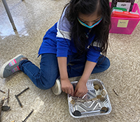 female child working on beaver dam