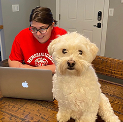 Staff member using their laptop while their dog looks into the camera