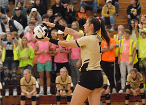 Madison Grant volleyball player getting ready to serve during the game
