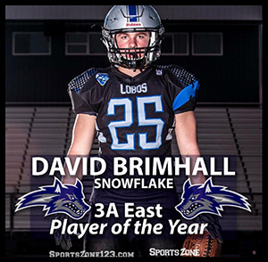 David Brimhall - Snowflake - 3A East Player of the Year