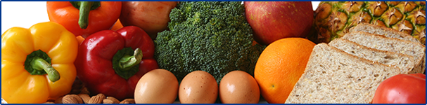 a variety of foods from different food groups