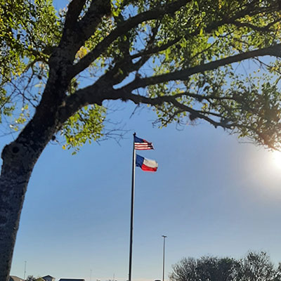 Flags flying for Veteran's Day
