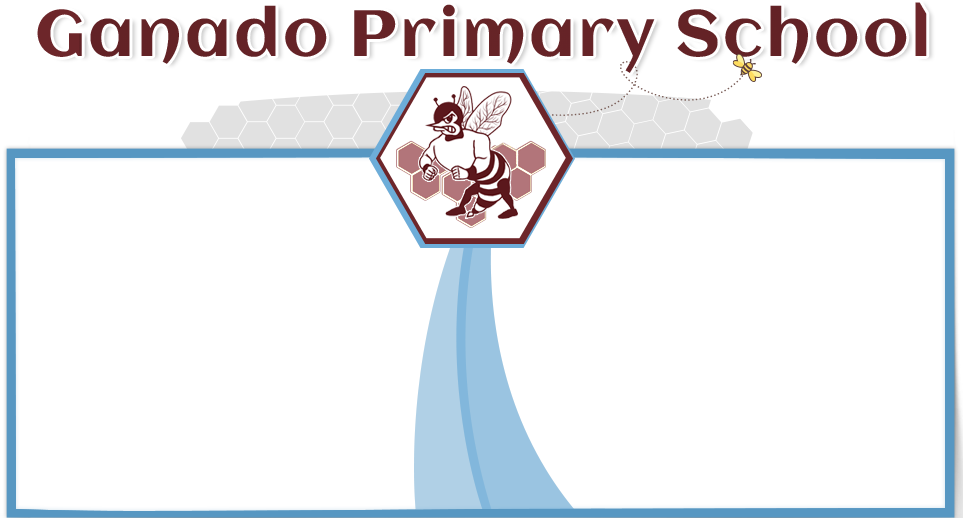 Home Ganado Primary School