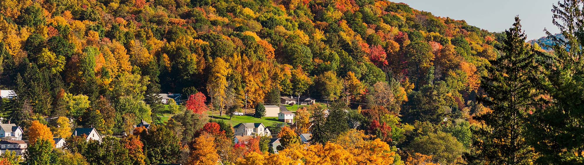 Our School Smethport High School