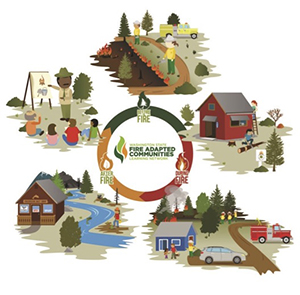 Drawing of fire adapted communities