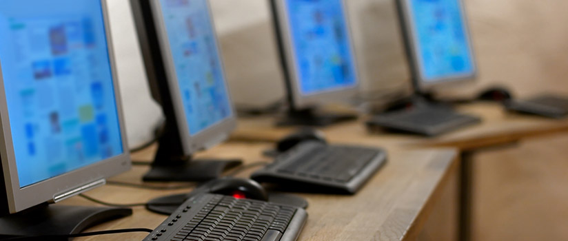 Row of desktop computers
