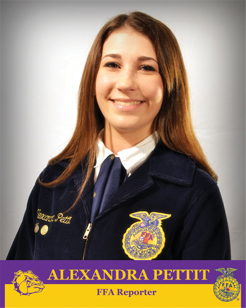 Lexi Pettit
